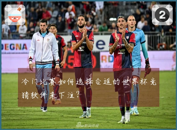 冷门比赛如何选择合适的世界杯竞猜软件来下注？