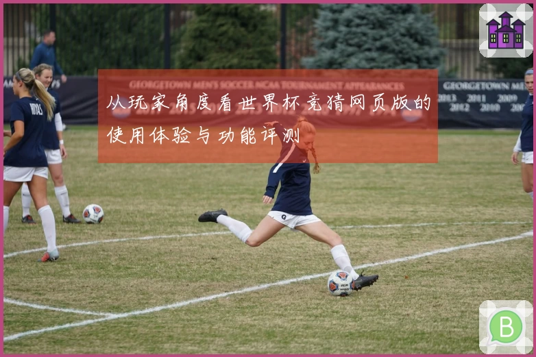 从玩家角度看世界杯竞猜网页版的使用体验与功能评测