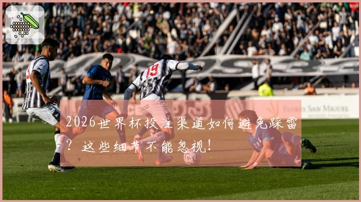 2026世界杯投注渠道如何避免踩雷？这些细节不能忽视！