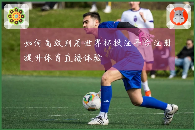 如何高效利用世界杯投注平台注册提升体育直播体验