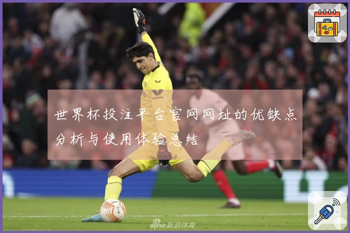 世界杯投注平台官网网址的优缺点分析与使用体验总结