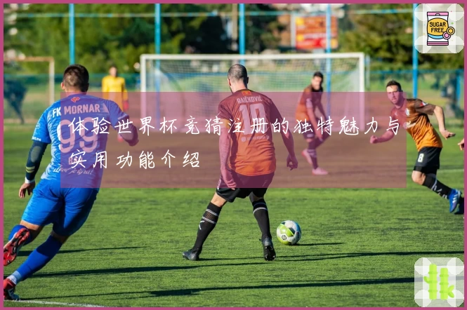 体验世界杯竞猜注册的独特魅力与实用功能介绍