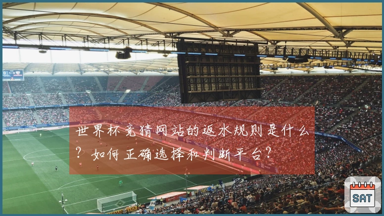 世界杯竞猜网站的返水规则是什么？如何正确选择和判断平台？