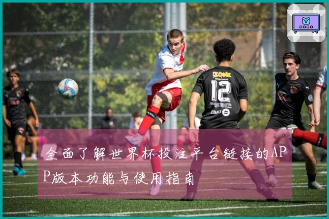 全面了解世界杯投注平台链接的APP版本功能与使用指南