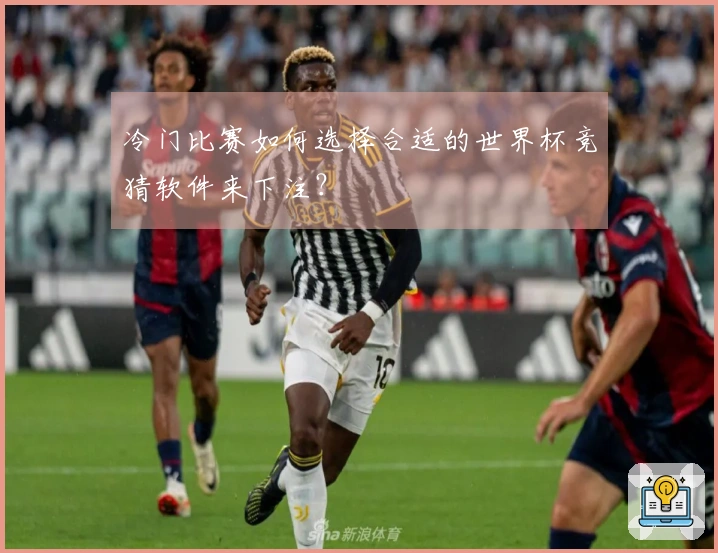 冷门比赛如何选择合适的世界杯竞猜软件来下注？