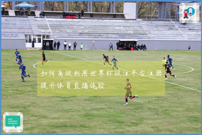 如何高效利用世界杯投注平台注册提升体育直播体验
