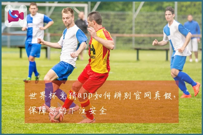 世界杯竞猜app如何辨别官网真假，保障您的下注安全